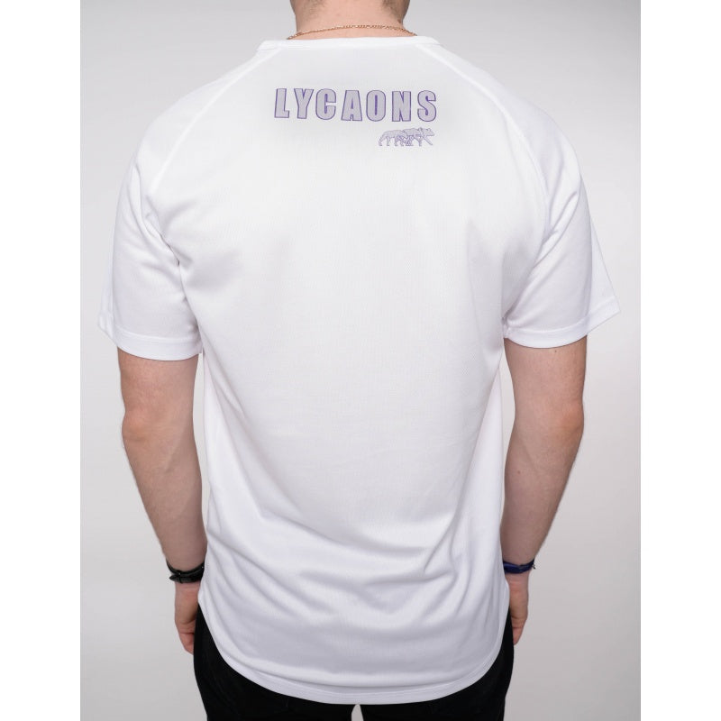 Tshirt Lycaons sport Blue and Grey