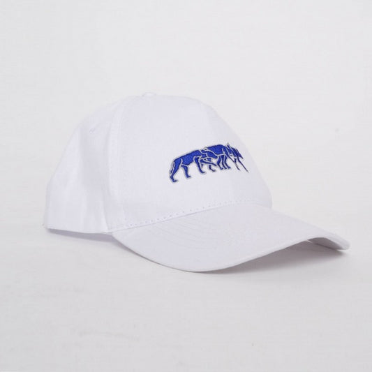 Casquette Lycaons White and blue